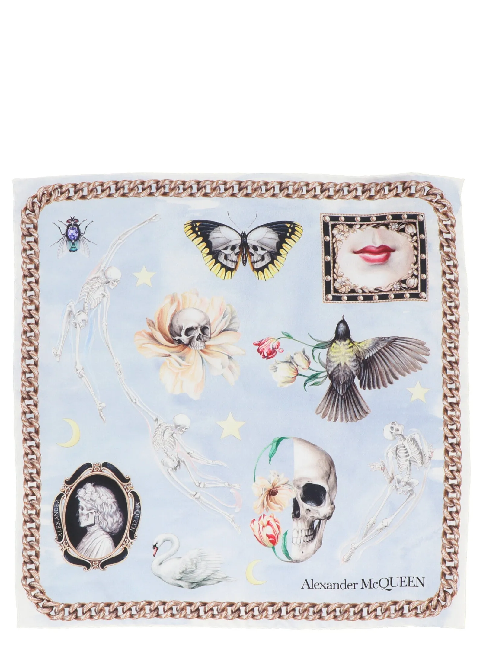 Alexander McQueen Graphic Printed Foulard