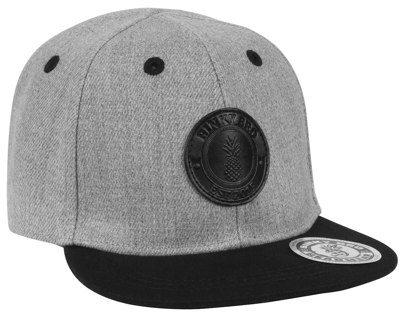 Finley 3.0 Hat (Charcoal)