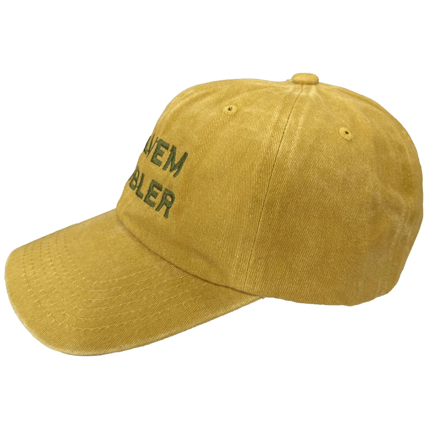 "Solvem Probler" 6 Panel Low Profile Embroidered Hat