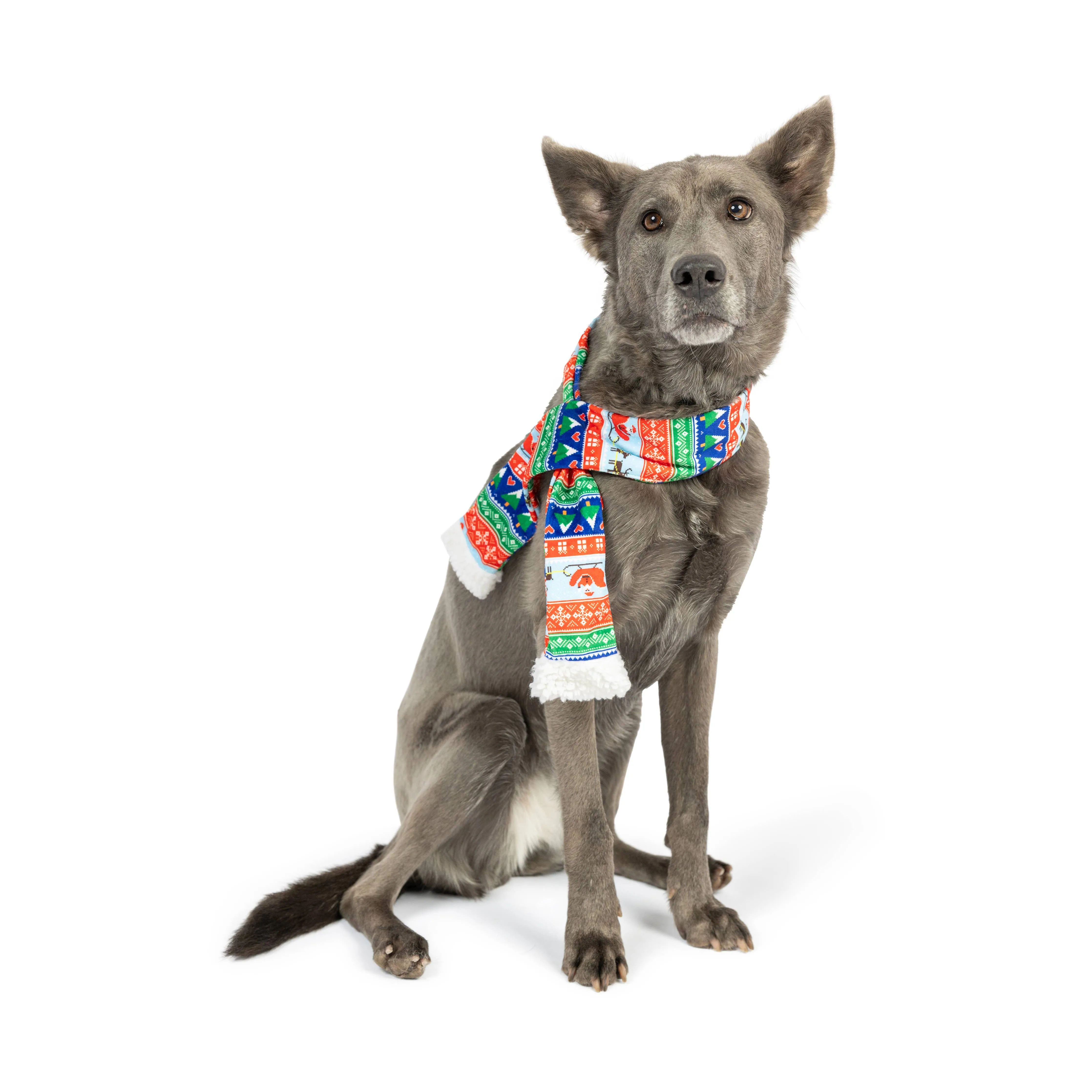 Ugly Sweater Dog Scarf