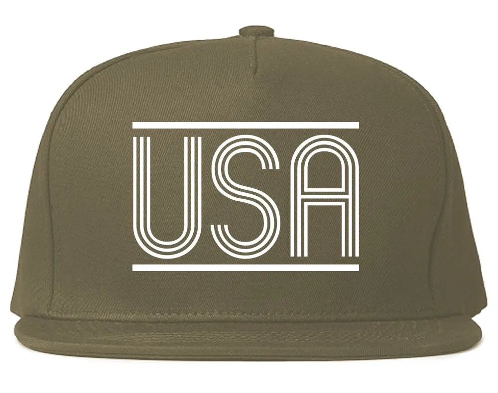 USA America Fall15 Snapback Hat